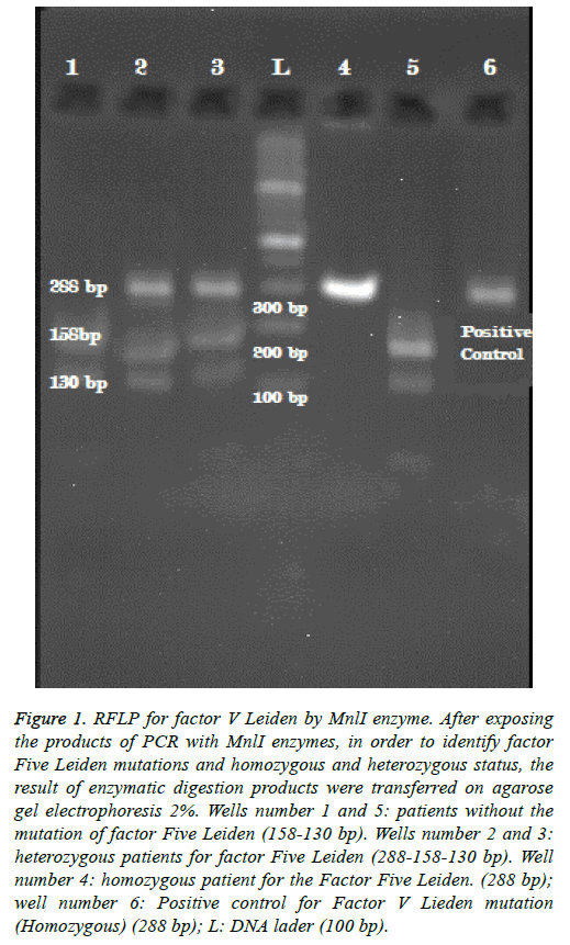 biomedres-heterozygous-status