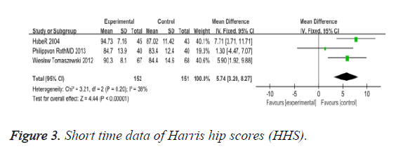 biomedres-hip-scores