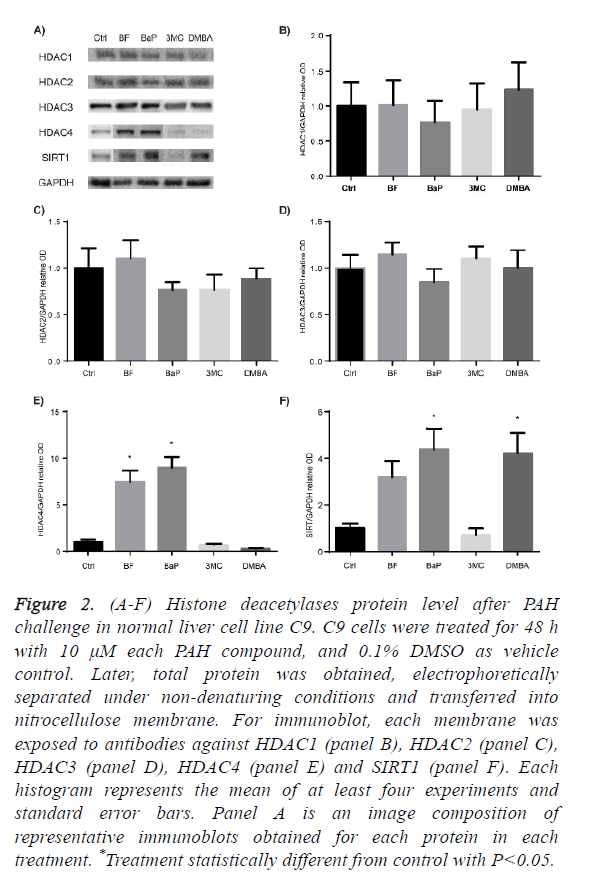 biomedres-histone-deacetylases
