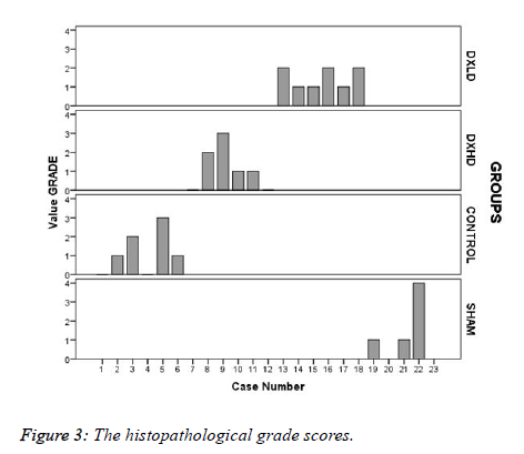 biomedres-histopathological-grade-scores