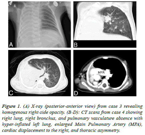 biomedres-homogenous-scans