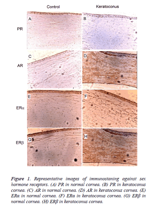 biomedres-hormone-receptors