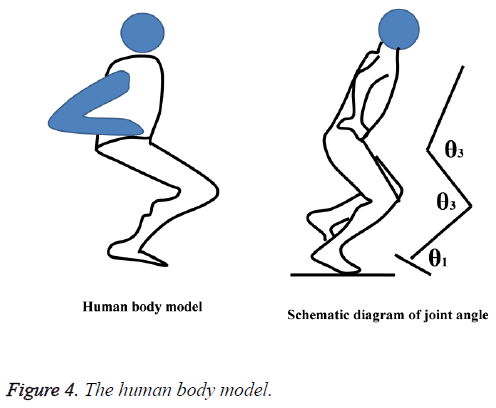 biomedres-human-body-model