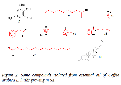 biomedres-husks-growing