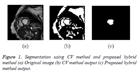 biomedres-hybrid-method