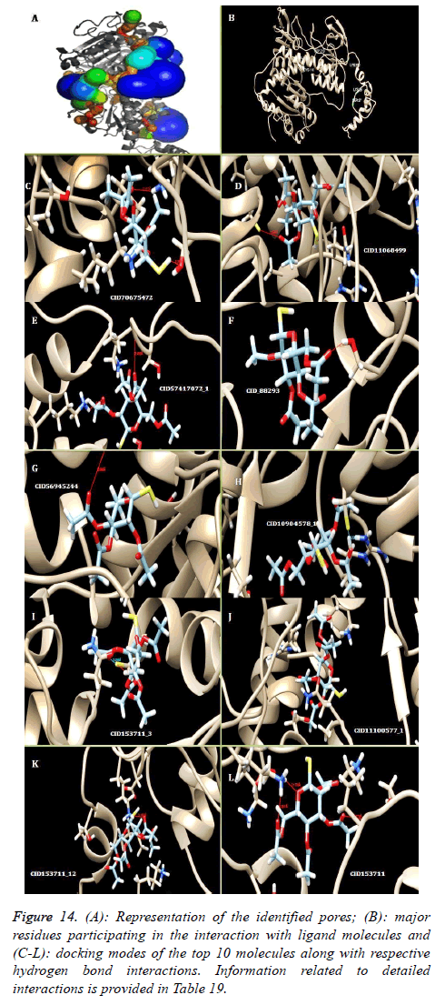 biomedres-hydrogen-bond