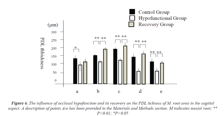 biomedres-hypofunction-recovery-PDL