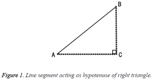 biomedres-hypotenuse-right-triangle