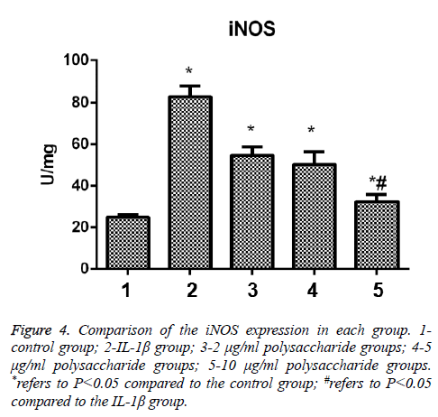 biomedres-iNOS-expression