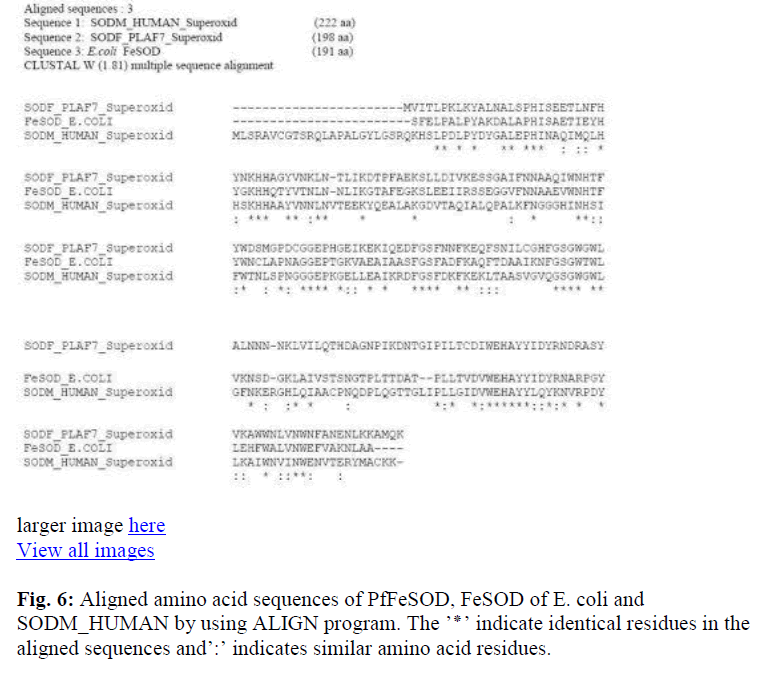 biomedres-identical-residues-aligned-sequences-amino-acid