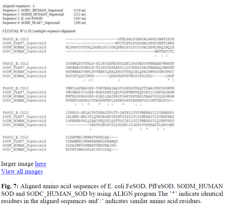 biomedres-identical-residues-aligned-sequences-amino-acid