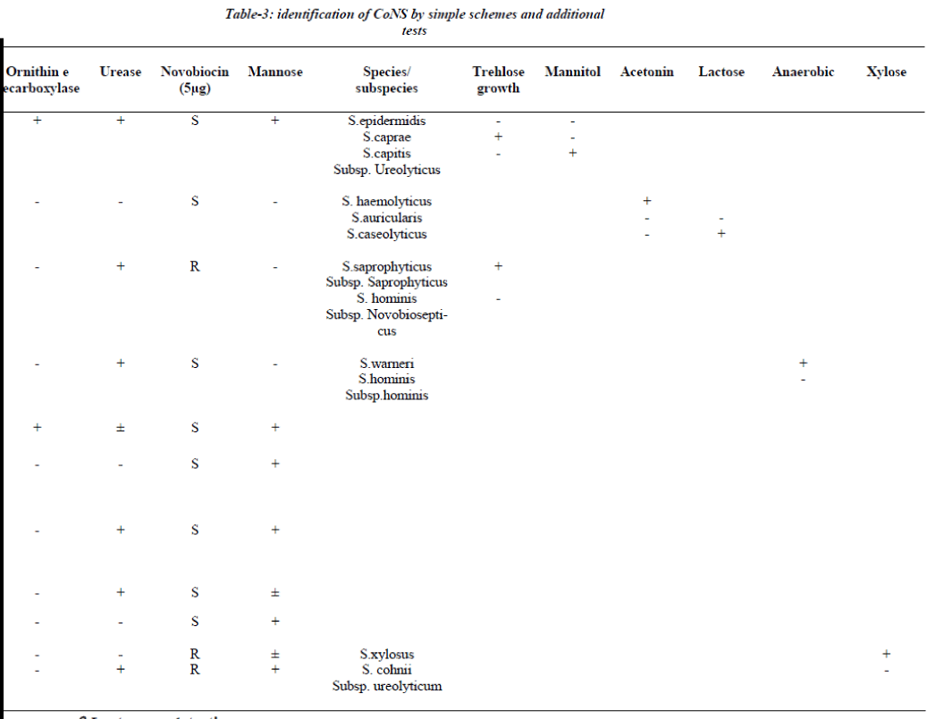 biomedres-identification-CoNS