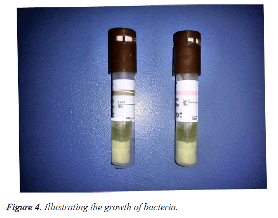 biomedres-illustrating-growth-bacteria