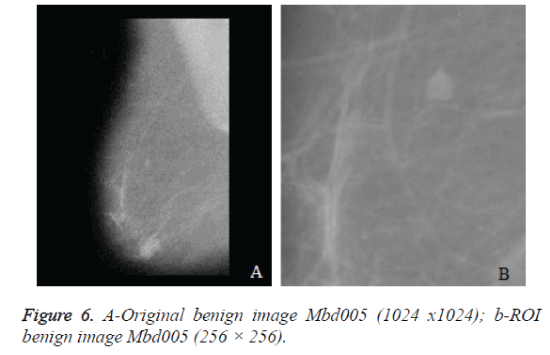 biomedres-image-Mbd005