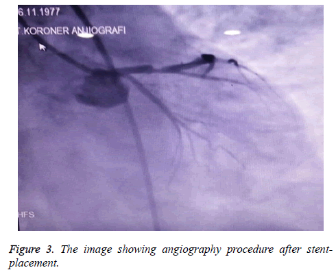 biomedres-image-showing