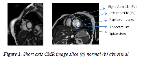 biomedres-image-slice-axis