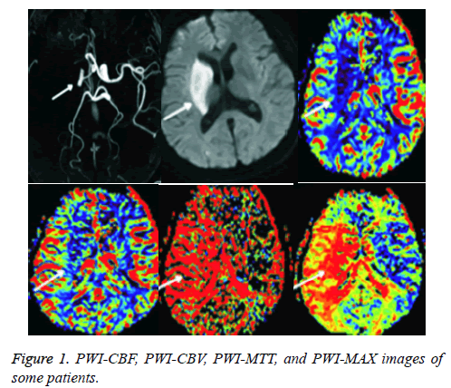 biomedres-images-structure