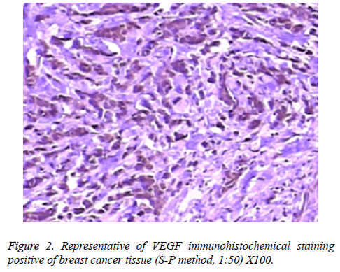 biomedres-immunohistochemical