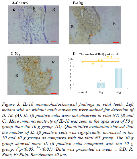 biomedres-immunohistochemical-findings