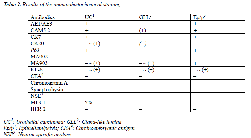 biomedres-immunohistochemical-staining