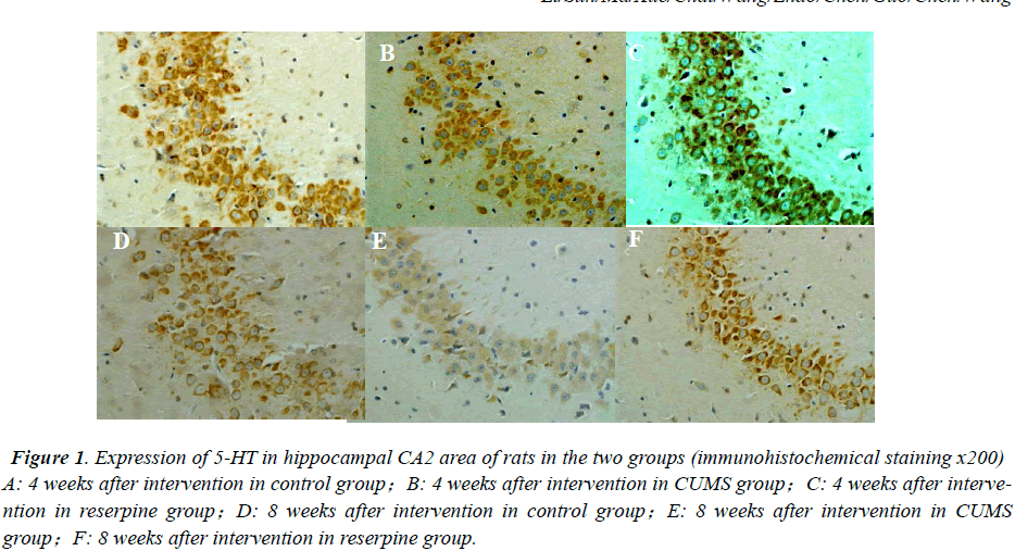 biomedres-immunohistochemical-staining