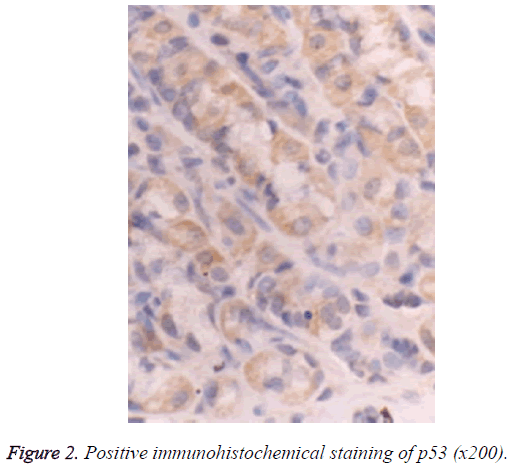 biomedres-immunohistochemical-staining