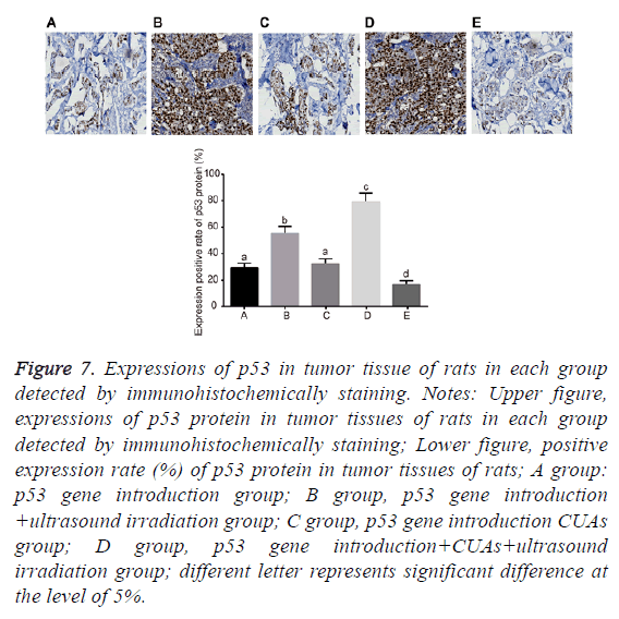 biomedres-immunohistochemically-staining