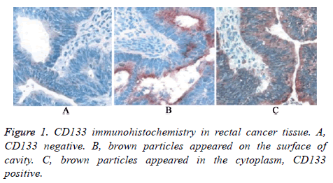 biomedres-immunohistochemistry