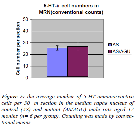 biomedres-immunoreactive-median-raphe