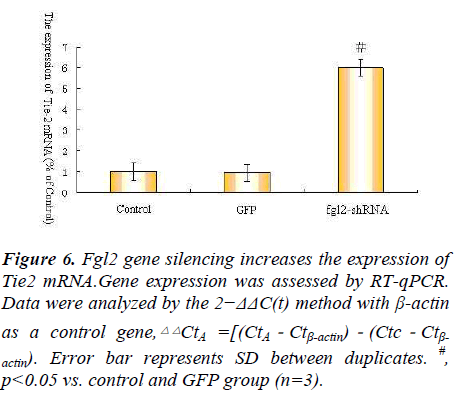 biomedres-increases-expression