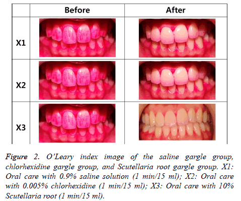 biomedres-index-image