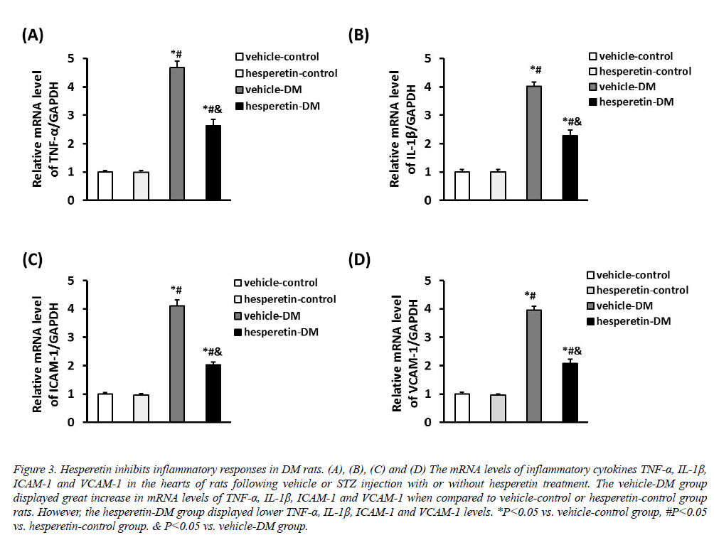 biomedres-inflammatory-responses