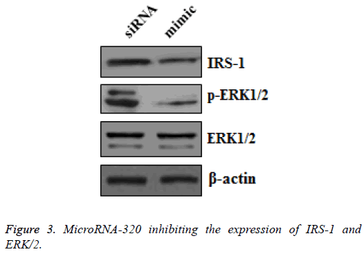 biomedres-inhibiting-expression