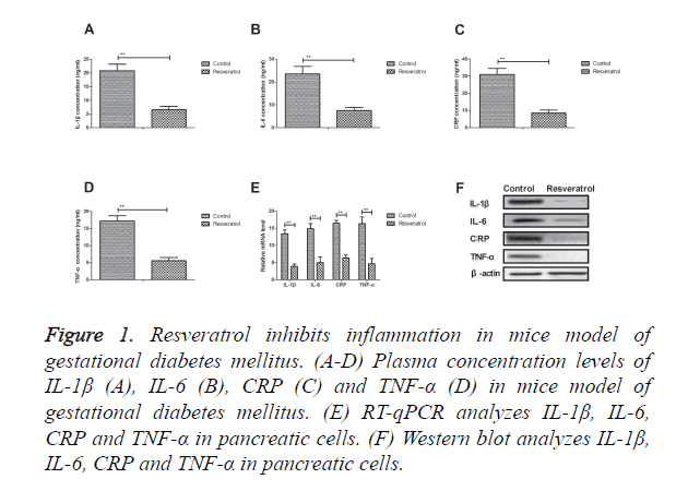 biomedres-inhibits-inflammation