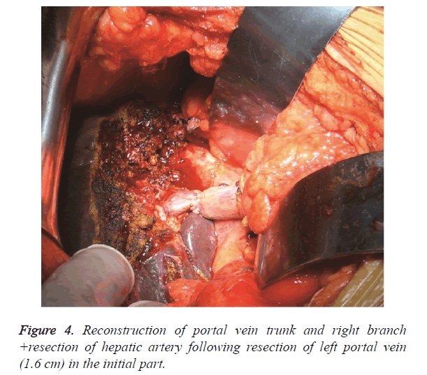 biomedres-initial-part