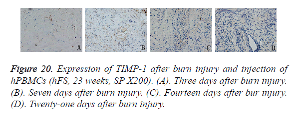 biomedres-injury