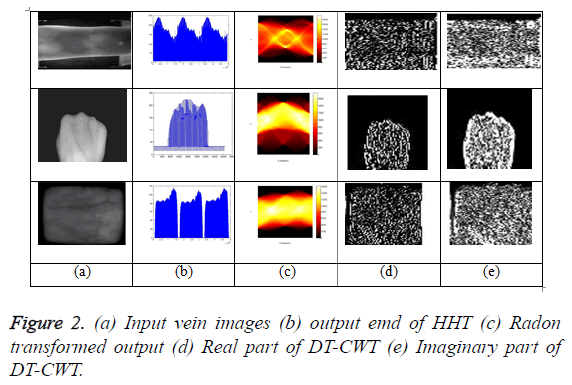 biomedres-input-vein-images