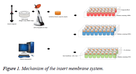 biomedres-insert-membrane