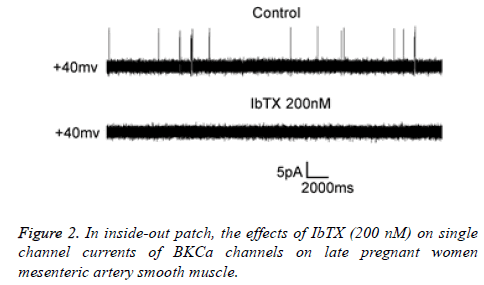 biomedres-inside-out