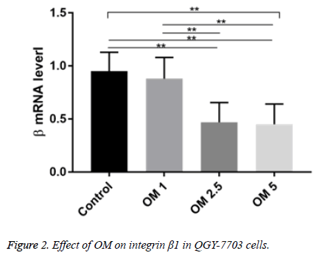 biomedres-integrin