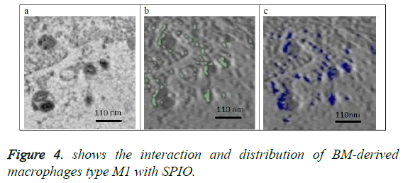 biomedres-interaction-distribution