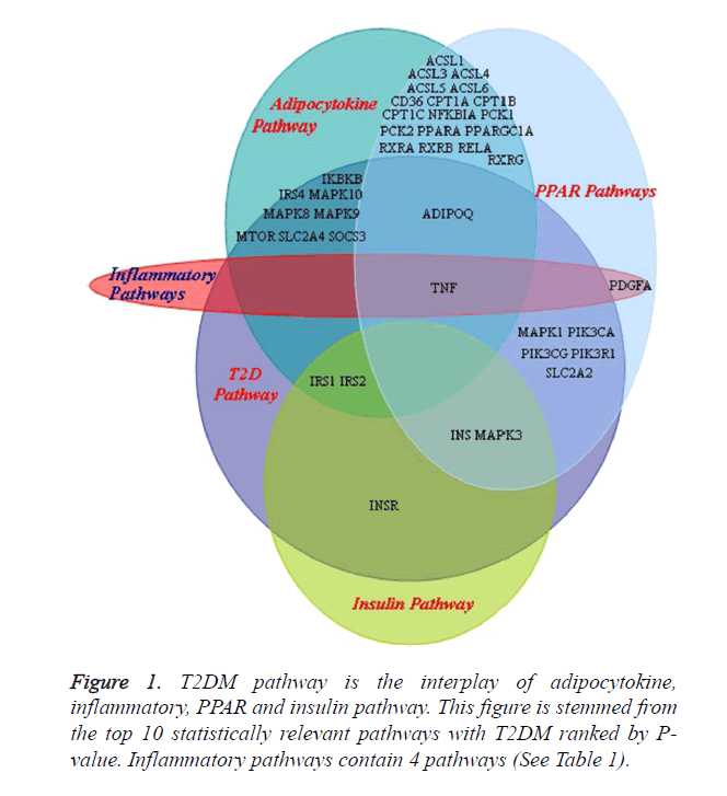 biomedres-interplay-adipocytokine