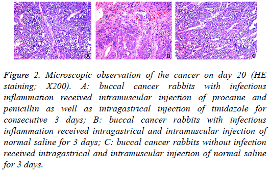 biomedres-intramuscular-injection