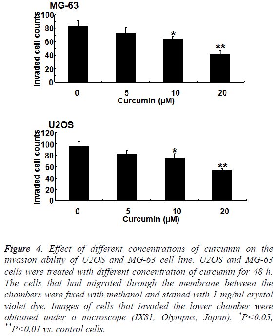 biomedres-invasion-ability-U2OS