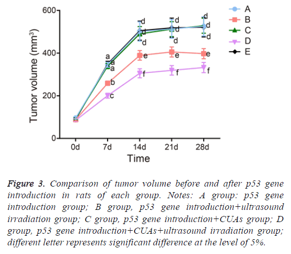 biomedres-irradiation-group