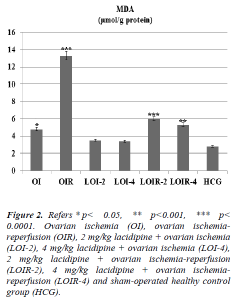 biomedres-ischemia-reperfusion