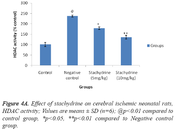 biomedres-ischemic-neonatal-rats