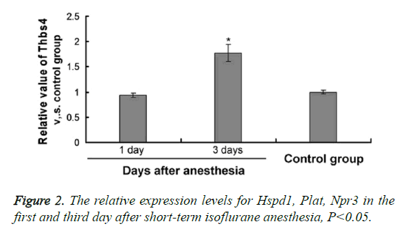 biomedres-isoflurane-anesthesia