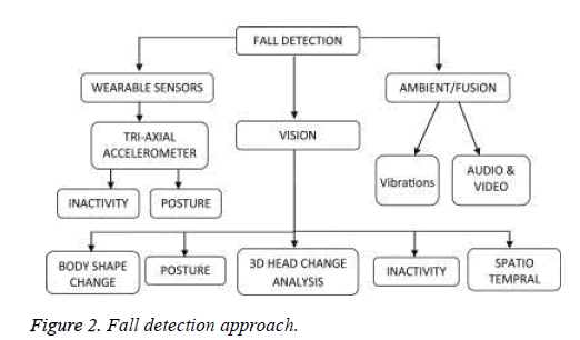 biomedres-isolated-Fall-detection