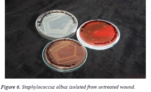 biomedres-isolated-wound